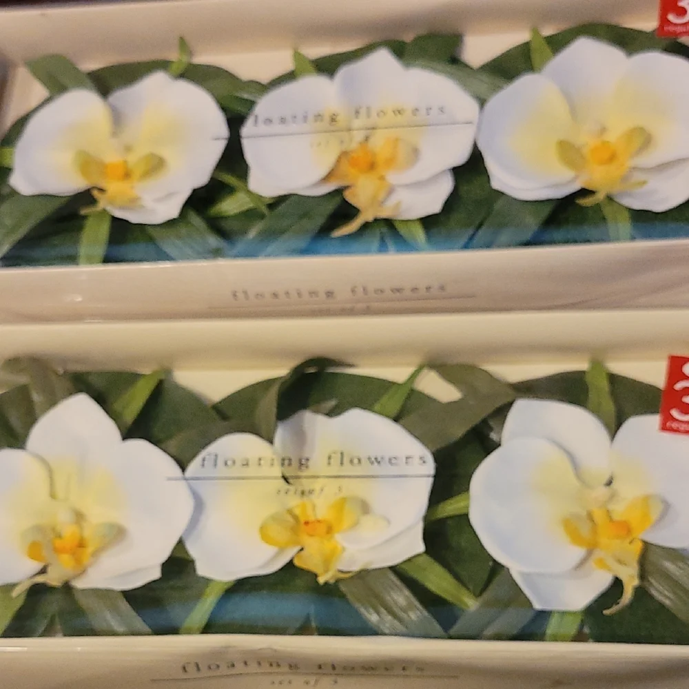 Pier 1 White and Yellow Floating Orchids Faux Floral Accents (2 Boxes)